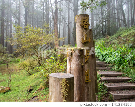 阿里山國家森林遊樂區及山區步道 阿里山國家森林遊樂區及山區步道 141284193