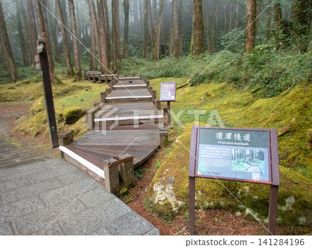 阿里山國家森林遊樂區及山區步道 阿里山國家森林遊樂區及山區步道 141284196