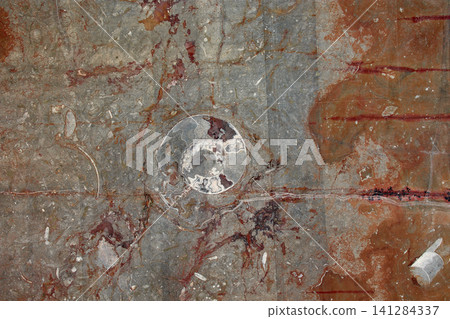 Ancient marine fossils embedded in the rock of the Merzouga Desert in southern Morocco Ancient marine fossils embedded in the rock of the Merzouga Desert in southern Morocco 141284337