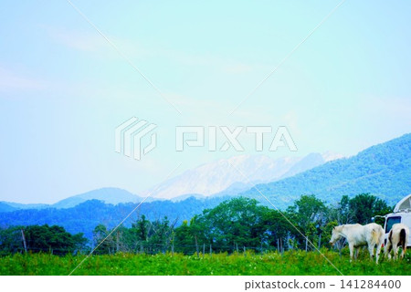 從猿飛日斬高原的牧場上可以看到夏日的藍天、山和吃草的白馬。 從猿飛日斬高原的牧場上可以看到夏日的藍天、山和吃草的白馬。 141284400