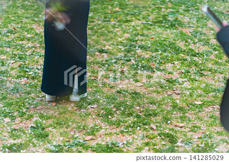The feet of a woman in a long skirt standing on a lawn where cherry blossom petals are fluttering. The feet of a woman in a long skirt standing on a lawn where cherry blossom petals are fluttering. 141285029