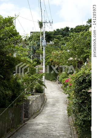 Shuri Kinjo鎮鵝卵石路 Shuri Kinjo鎮鵝卵石路 141285973