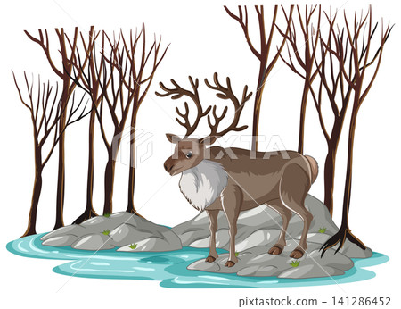 Reindeer Standing on Rocks in a Winter Forest with Bare Trees Reindeer Standing on Rocks in a Winter Forest with Bare Trees 141286452