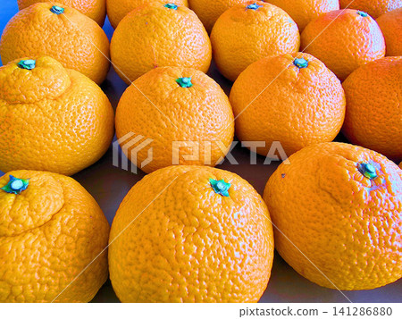 Mandarins filling the entire screen Mandarins filling the entire screen 141286880