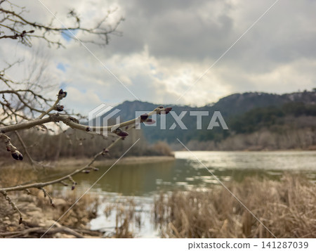 Beautiful lake and sky landscape in autumn Beautiful lake and sky landscape in autumn 141287039