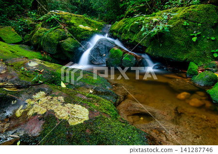 small waterfall and stream surround by rock covered with green moss small waterfall and stream surround by rock covered with green moss 141287746