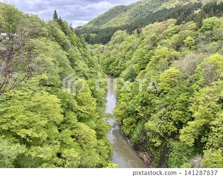 從河原湯橋上眺望子安峽鬱鬱蔥蔥的景色。 從河原湯橋上眺望子安峽鬱鬱蔥蔥的景色。 141287837