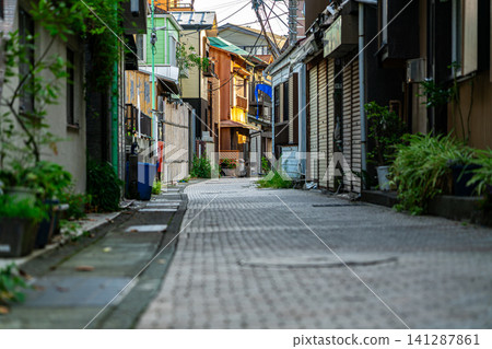 [Kanagawa Prefecture] Charming back alleys of Enoshima 141287861