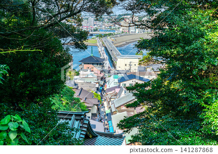 【神奈川縣】透過樹木可以看到江之島的城鎮景觀 141287868
