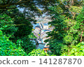 [Kanagawa Prefecture] The townscape of Enoshima visible through the trees 141287870