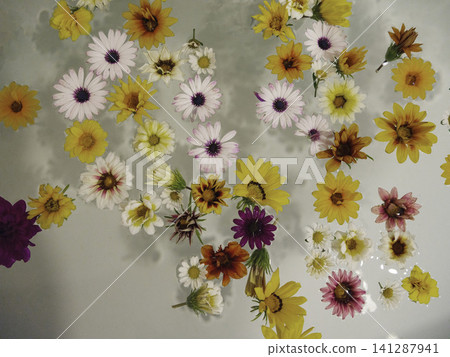 colorful beautiful flowers in the tub colorful beautiful flowers in the tub 141287941