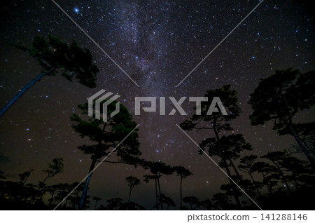 beautiful milky way across the sky in a tropical forest on top of a mountain in northern Thailand.the photo has gain & noise beautiful milky way across the sky in a tropical forest on top of a mountain in northern Thailand.the photo has gain & noise 141288146