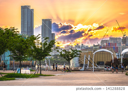 首爾的夏天：日落時分的盤浦漢江公園和世博島 141288828