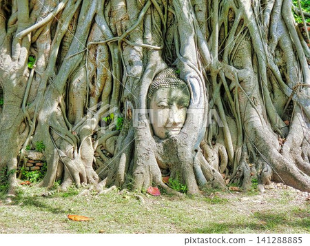 Wat Mahathat Ayutthaya 141288885