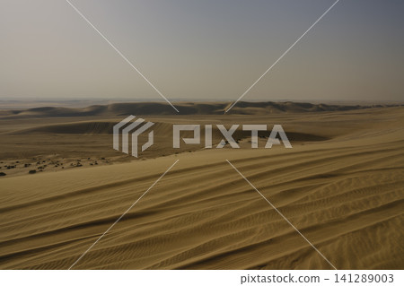 desert landscape in summer heat desert landscape in summer heat 141289003