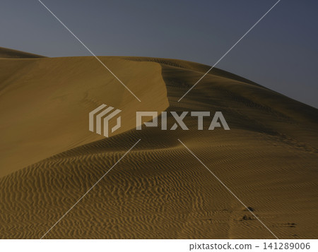 beautiful sand dunes in the desert beautiful sand dunes in the desert 141289006