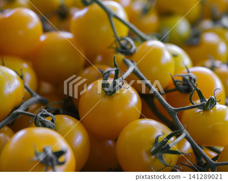yellow tomatoes at the market yellow tomatoes at the market 141289021