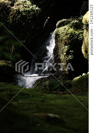A waterfall flowing through moss-covered rocks in the garden of Kōzenji Temple in Komagane City, Nagano Prefecture. A waterfall flowing through moss-covered rocks in the garden of Kōzenji Temple in Komagane City, Nagano Prefecture. 141289125