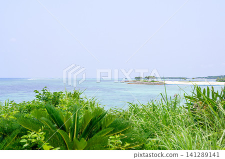 沖繩海灘景色,綠樹環繞,可俯瞰大海。 沖繩海灘景色,綠樹環繞,可俯瞰大海。 141289141