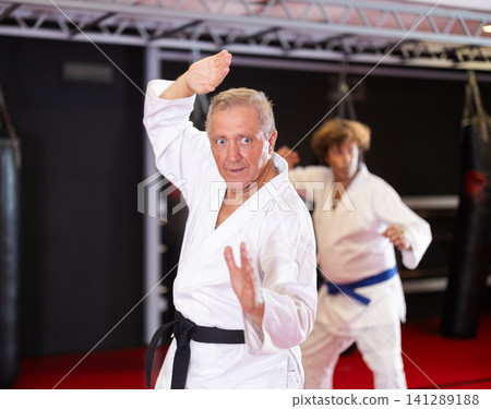 Senior martial artist training kata for healthy aging 141289188