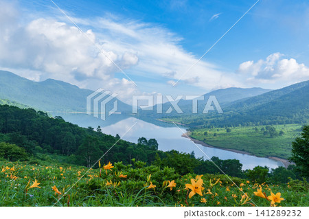 Lake Nozori in the season when daylilies are in bloom Lake Nozori in the season when daylilies are in bloom 141289232