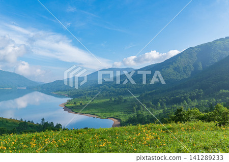 野草湖在萱草盛開的季節景色迷人。 野草湖在萱草盛開的季節景色迷人。 141289233