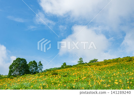 Clouds rising over a plateau where daylilies are in bloom Clouds rising over a plateau where daylilies are in bloom 141289240