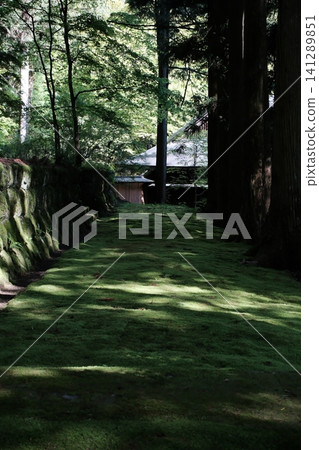 The cedar-lined avenue and moss-covered path leading to Kōzenji Temple (Komagane City, Nagano Prefecture) The cedar-lined avenue and moss-covered path leading to Kōzenji Temple (Komagane City, Nagano Prefecture) 141289851