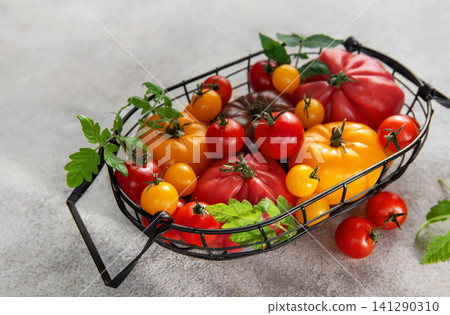Fresh organic heirloom tomatoes in harvest basket from garden Fresh organic heirloom tomatoes in harvest basket from garden 141290310