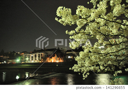 Beautiful cherry blossoms blooming against the backdrop of the night cityscape, their light reflected on the surface of the Sai River. Beautiful cherry blossoms blooming against the backdrop of the night cityscape, their light reflected on the surface of the Sai River. 141290855