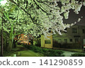 Vibrant green light and cherry blossoms in full bloom envelop the quiet promenade of Saisei-no-michi. 141290859