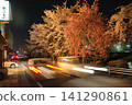 Beautiful weeping cherry blossoms blooming along the Sai River at night, and the trails of speeding car headlights. 141290861