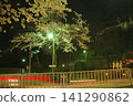 The vibrant lights illuminating Shin-Sakurazaka in Kanazawa and the cherry blossoms beautifully filling the night sky. 141290862