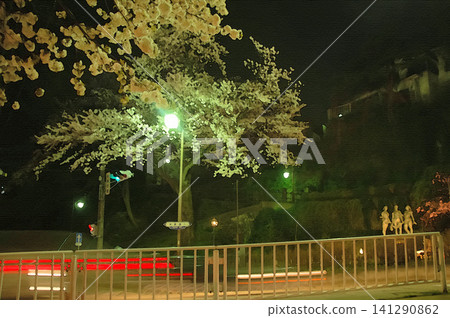 金澤新櫻坂燈火輝煌,櫻花盛開,點綴著夜空,美不勝收。 金澤新櫻坂燈火輝煌,櫻花盛開,點綴著夜空,美不勝收。 141290862