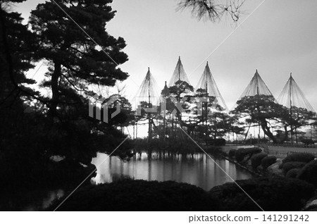 冬季的兼六園,籠罩在一片單色調之中,展現出白雪覆蓋的樹木的幾何之美和寧靜祥和的氛圍。 冬季的兼六園,籠罩在一片單色調之中,展現出白雪覆蓋的樹木的幾何之美和寧靜祥和的氛圍。 141291242