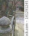 The quiet stone steps leading to Hakusan Hime Shrine, surrounded by lush cedar trees. 141291245