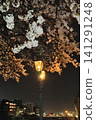The warm light of gas lamps gently illuminates the cherry blossoms in full bloom on the Sai River at night, creating a magical atmosphere. 141291248
