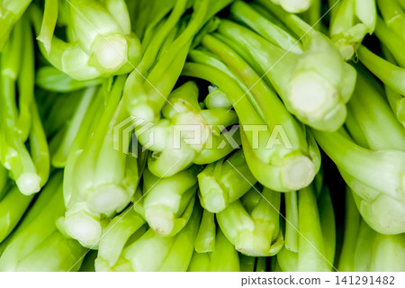 vegetable, ingredient, leaf 141291482