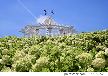 White observation deck and Annabelle White observation deck and Annabelle 141291520