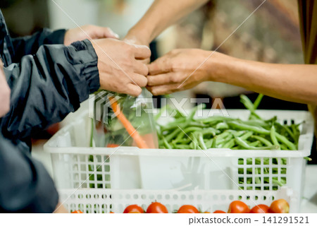 Closeup of hands selecting fresh green round eggplants from a red plastic crate at a local market Closeup of hands selecting fresh green round eggplants from a red plastic crate at a local market 141291521