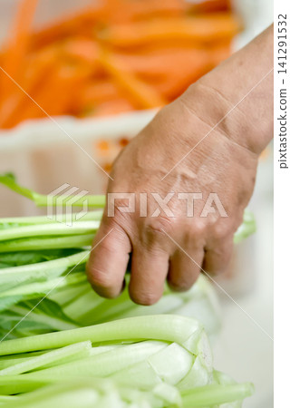 Closeup of hands selecting fresh green round eggplants from a red plastic crate at a local market Closeup of hands selecting fresh green round eggplants from a red plastic crate at a local market 141291532