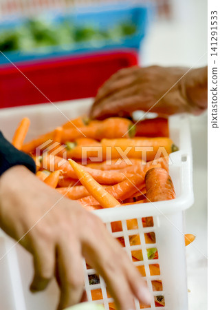 Closeup of hands selecting fresh green round eggplants from a red plastic crate at a local market	 141291533