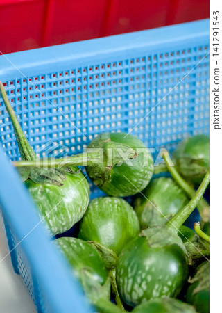 hand, carrots, vegetable 141291543