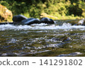 The flow of the river in Akigawa Valley 141291802