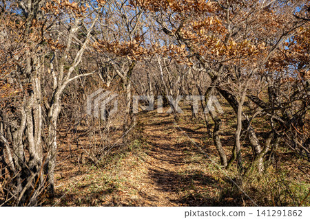 Scenery from the Onamiike Hot Spring walking trail 141291862
