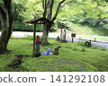 Hydrangea Garden 141292108