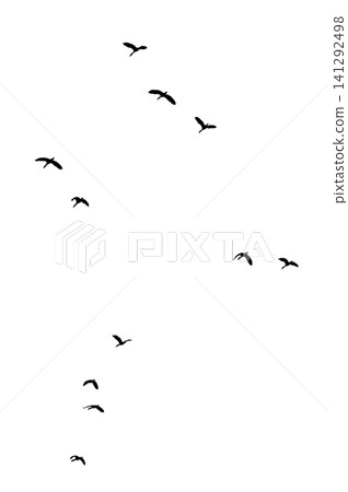 Flock of Flying Wild Ducks Black Silhouette PNG Cutout on Transparent Background, Bird Design Element Flock of Flying Wild Ducks Black Silhouette PNG Cutout on Transparent Background, Bird Design Element 141292498