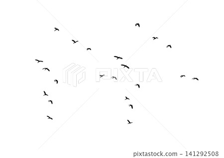 Flock of Flying Wild Ducks Black Silhouette PNG Cutout on Transparent Background, Bird Design Element Flock of Flying Wild Ducks Black Silhouette PNG Cutout on Transparent Background, Bird Design Element 141292508