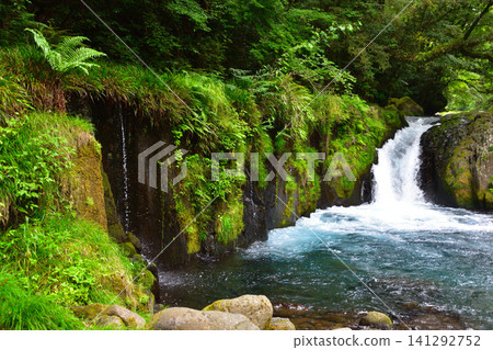 Summer, Kikuchi Valley, Reimei Falls Summer, Kikuchi Valley, Reimei Falls 141292752