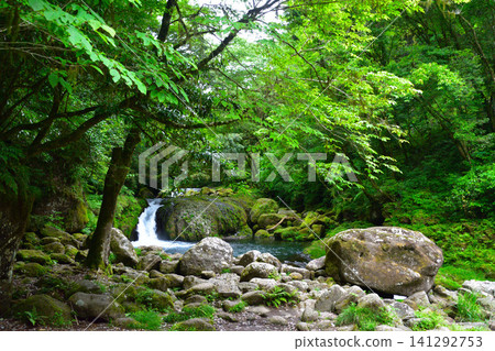 Summer, Kikuchi Valley, Reimei Falls Summer, Kikuchi Valley, Reimei Falls 141292753